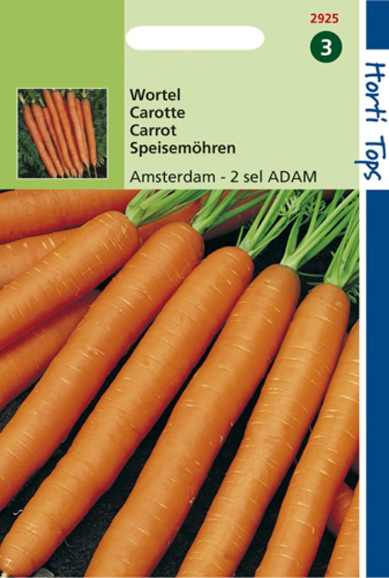 Carrot Amsterdam Bak 2 (Daucus) 5000 seeds